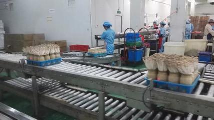 市投促局赴上海考察取得積極成果，四項目達成技術(shù)咨詢共識